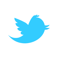 twitter-bird